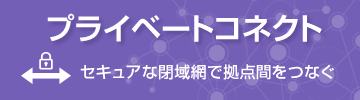 プライベートコネクト(閉域網接続)